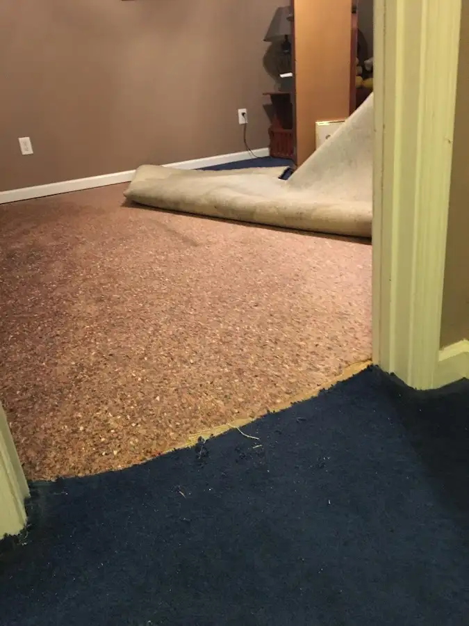 Carpet pad removal revealing water damage during Water Mitigation Services in Youngstown