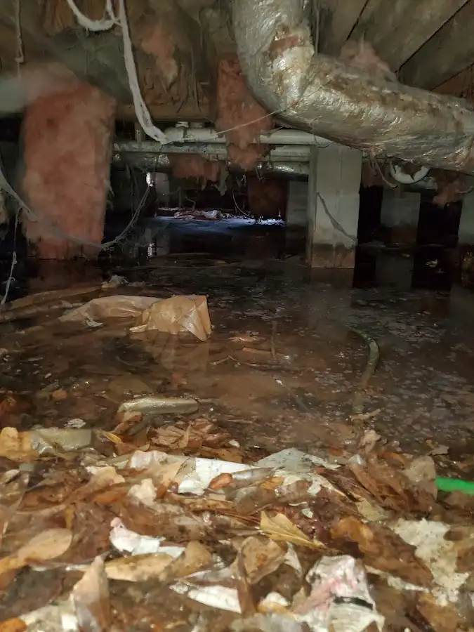 Crawl space flood assessment for Leak Detection & Repair in Youngstown